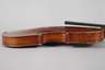 Violine Modell Amatus