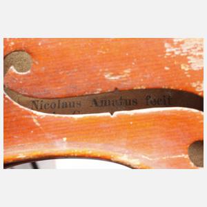 Violine Modell Amatus
