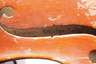 Violine Modell Amatus
