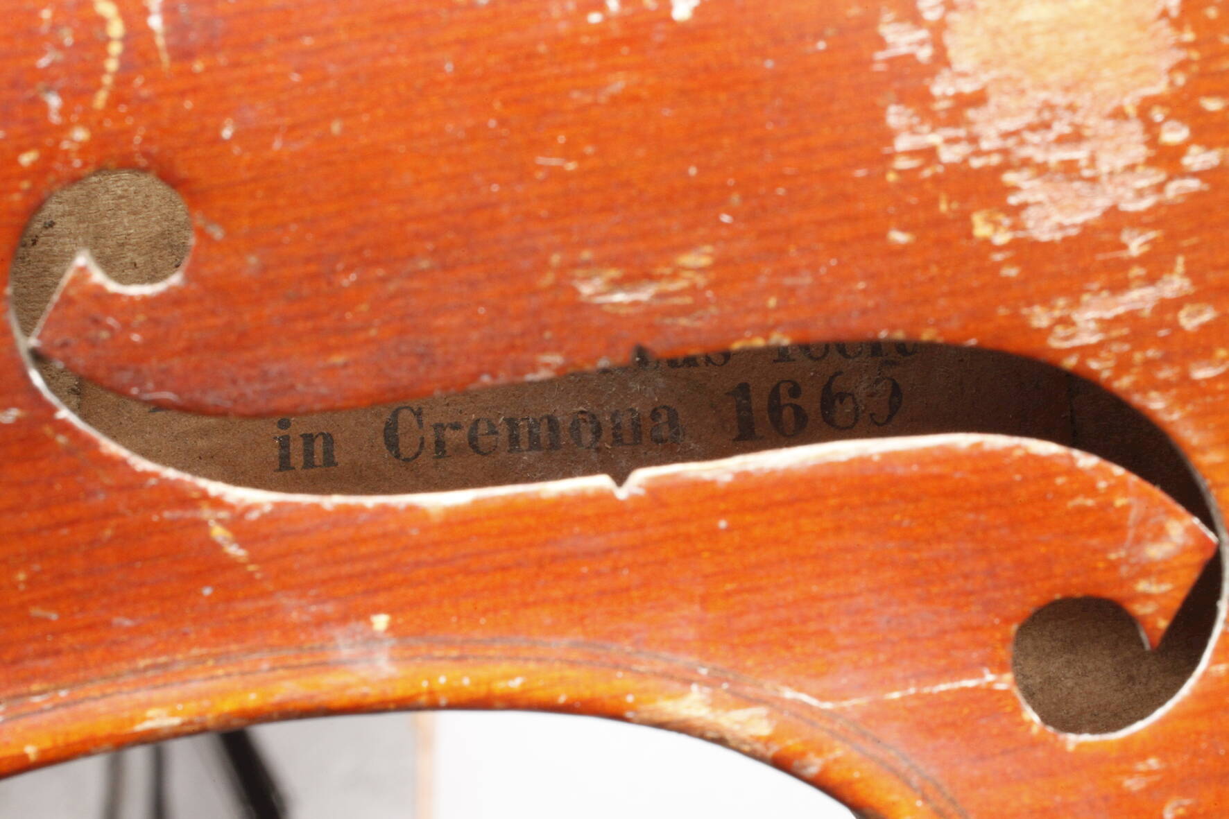 Violine Modell Amatus