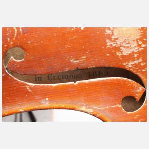 Violine Modell Amatus