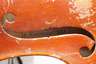 Violine Modell Amatus