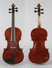 Violine