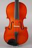 Violine