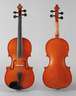 Violine