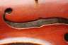 Violine
