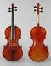 Violine