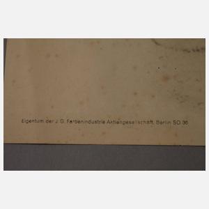 Propagandaplakat Olympiade 1936