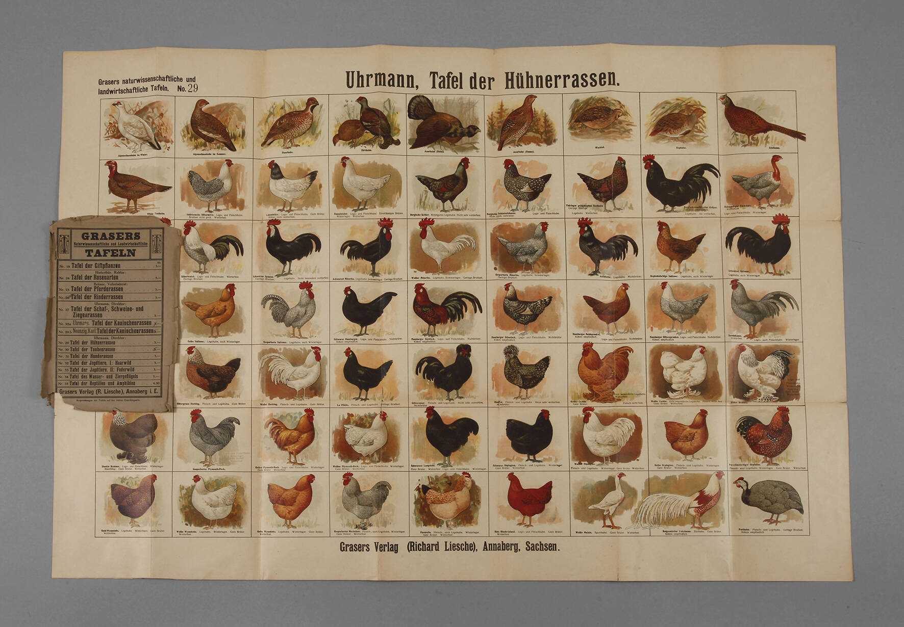 Grasers Tafel der Hühnerrassen