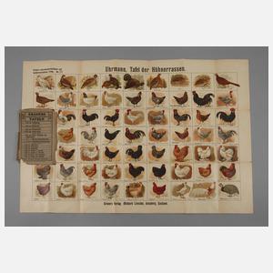 Grasers Tafel der Hühnerrassen
