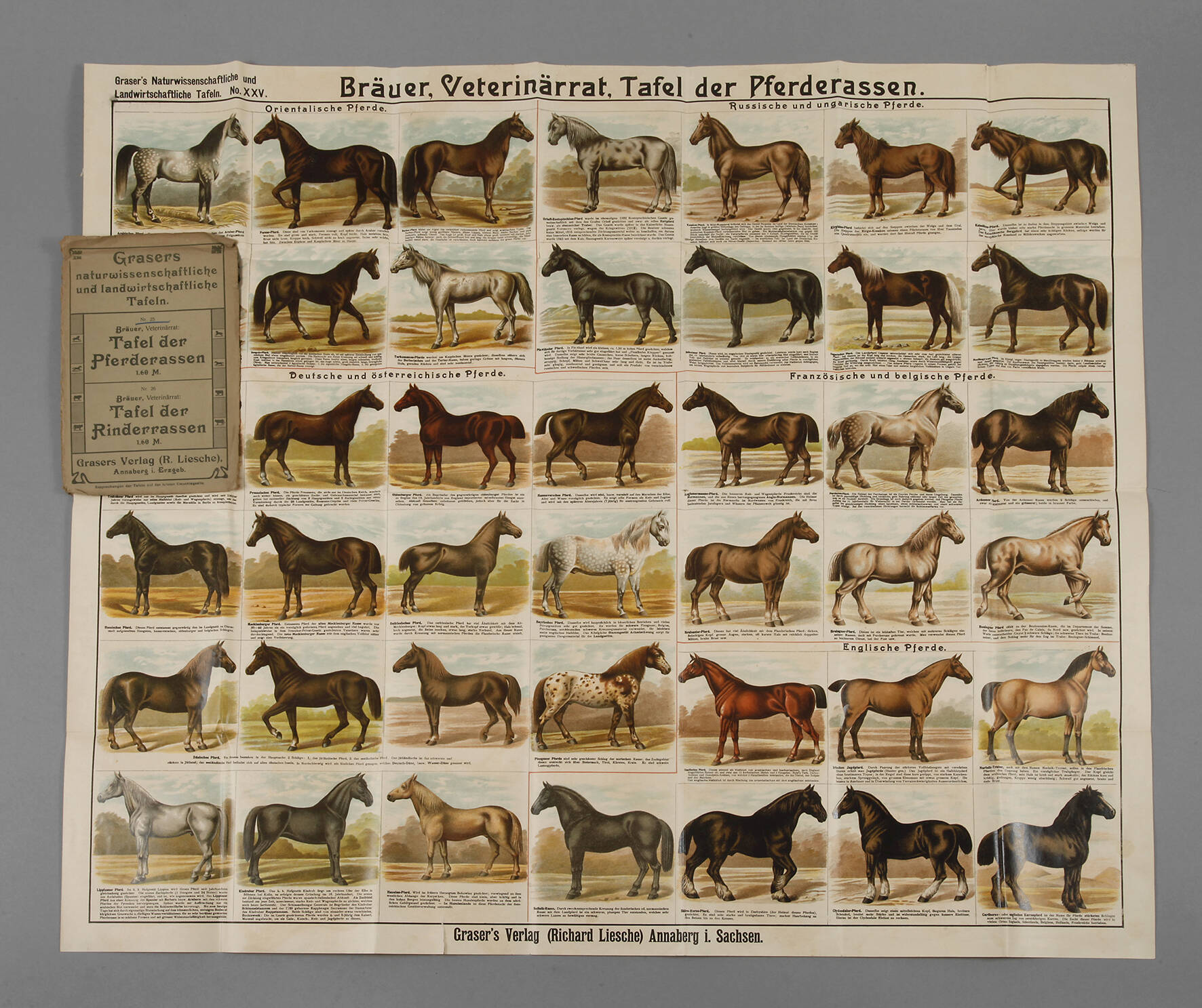 Grasers Tafel der Pferderassen