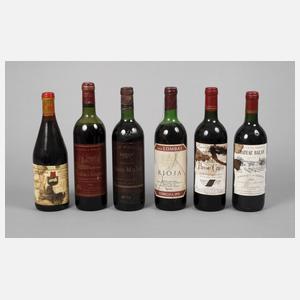 Sechs Flaschen Rotwein
