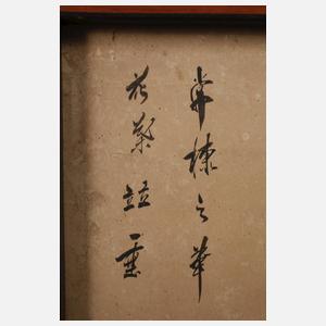 Sechs asiatische Tuschezeichnungen