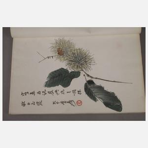 Mappe mit gebundenen Farbholzschnitten