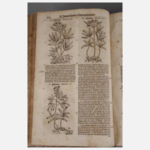 Neu Vollkommen Kräuter-Buch