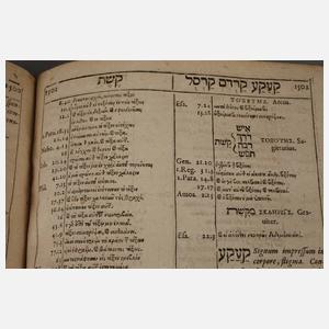 Concordantiae veteris testamenti graecae