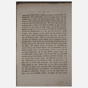 Bemerkungen auf einer Reise um die Welt