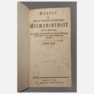 Kupfer zu Salzmanns Elementarwerk