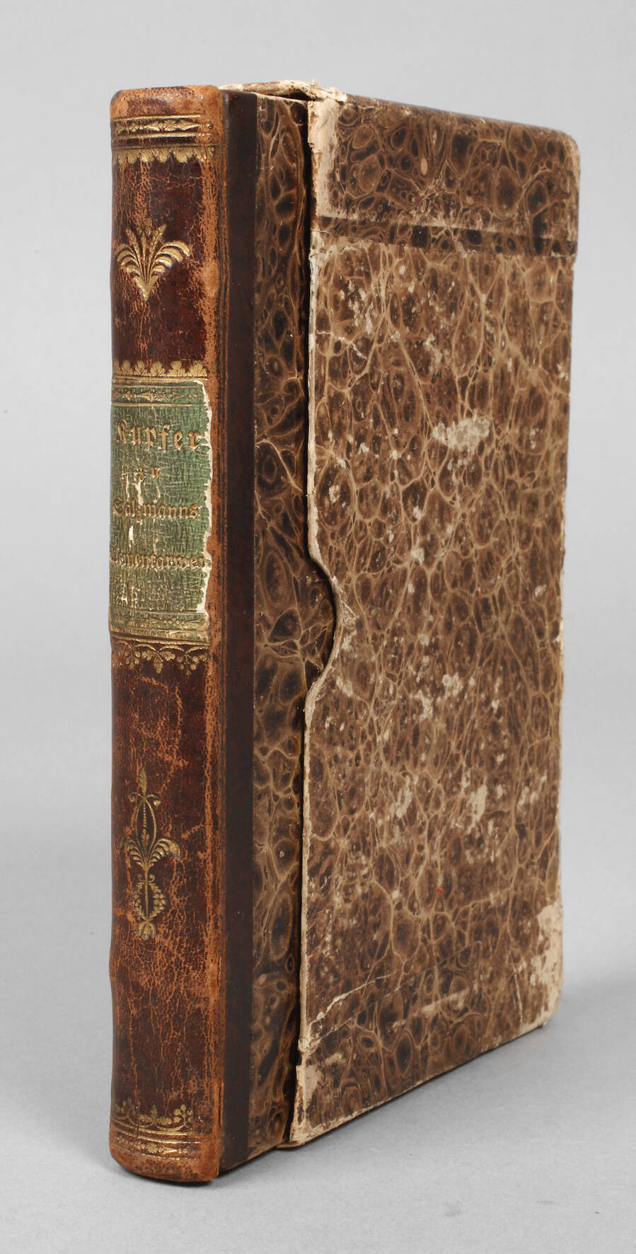 Kupfer zu Salzmanns Elementarwerk