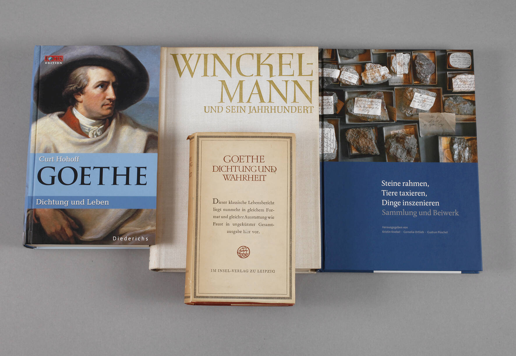 Konvolut Fachliteratur Goethe