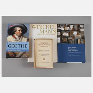 Konvolut Fachliteratur Goethe