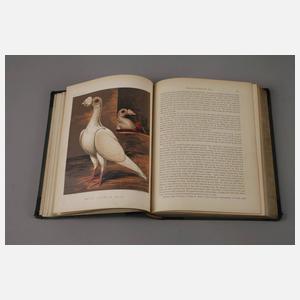 Zwei Bücher Vogelkunde