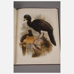 Zwei Bücher Vogelkunde