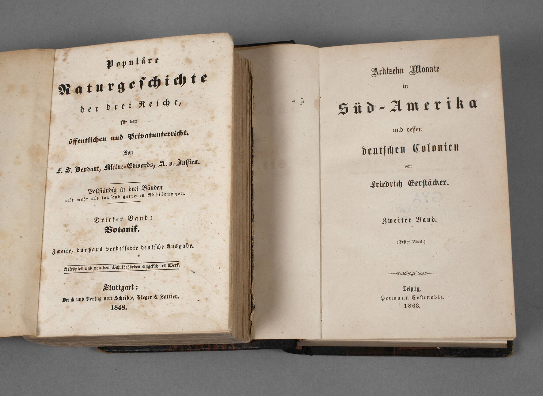 Zwei Bücher um 1850