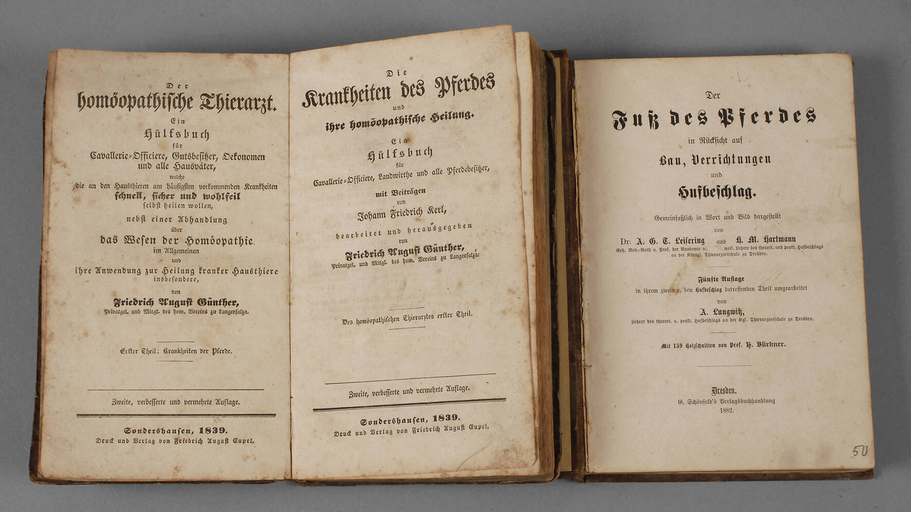 Zwei Bücher Pferdewissenschaft