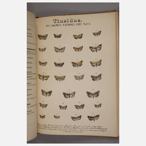 Abbildung und Beschreibung