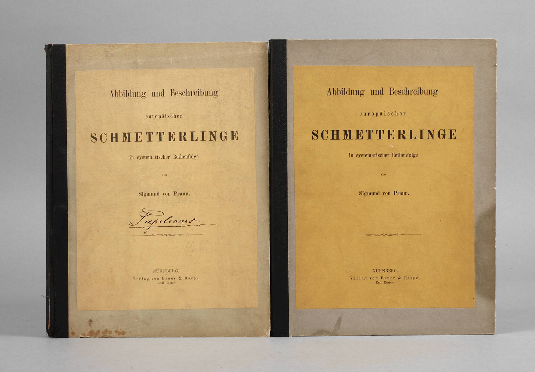 Abbildung und Beschreibung