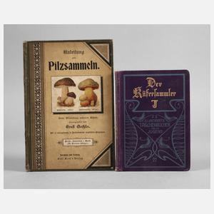 Zwei Bestimmungsbücher Pilze und Käfer