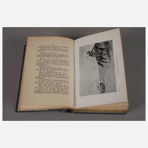 Im Reiche des silbernen Löwen