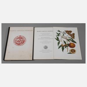 Maria Sibylla Merian