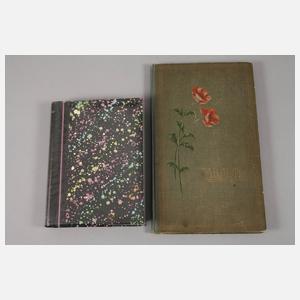 Zwei Postkartenalben Kinder–Kitsch