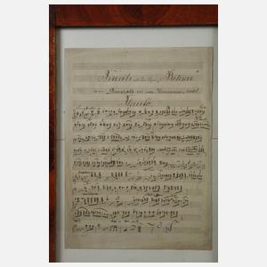 Zwei Dokumente zur Musikgeschichte 1. Hälfte 19. Jh.