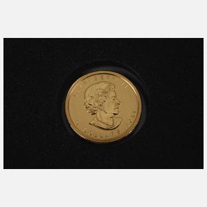 Zwei Gold-Anlagemünzen