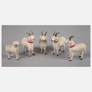 Set Wollschafe in Spanschachtel