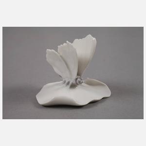 Kopenhagen Schnecke und Schmetterling