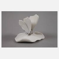 Kopenhagen Schnecke und Schmetterling111