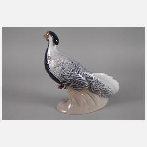 Kopenhagen Silberfasan