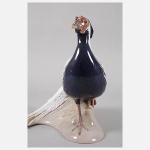 Kopenhagen Silberfasan