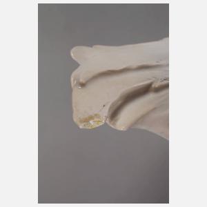 Kopenhagen Silberfasan