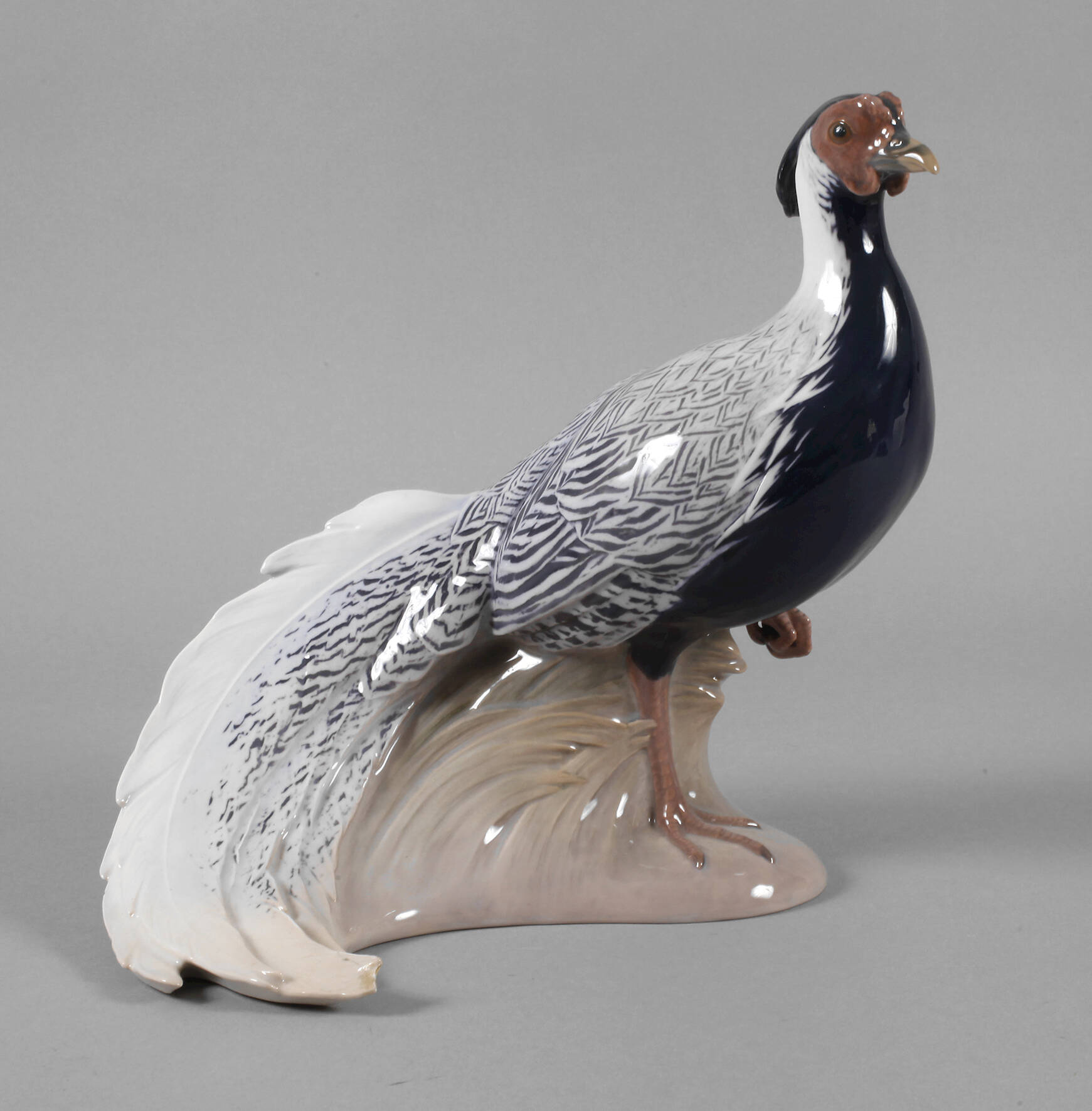 Kopenhagen Silberfasan