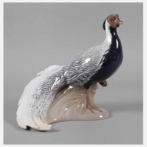 Kopenhagen Silberfasan