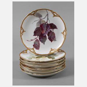 KPM Berlin sieben Teller mit Weichmalerei