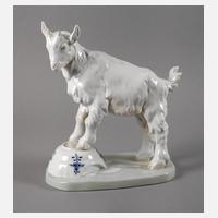Meissen "Ziegenbock auf Napf, groß"111
