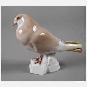 Meissen "Taube"