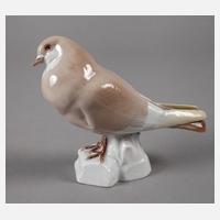 Meissen "Taube"111