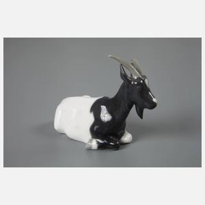 Meissen "Ziege"